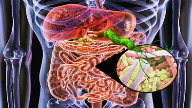 Desintoxica Sistema Digestivo antes de DIetas
